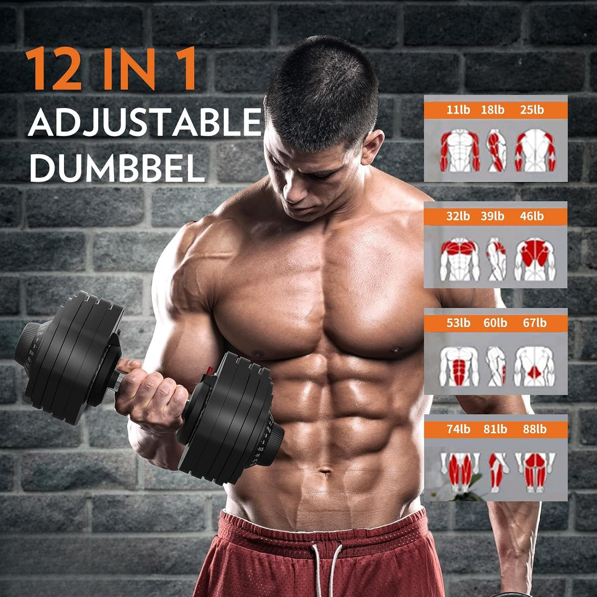 Quick Adjust Adjustable Dumbbells Set