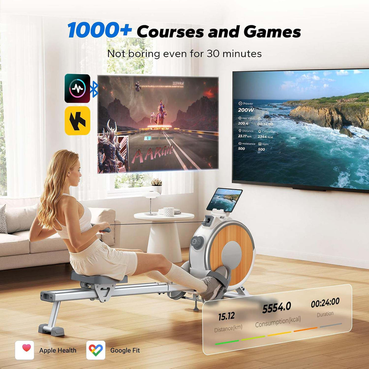 Dual Rail Quiet Electromagnetic Home Rower